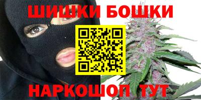 спайс Гагарин