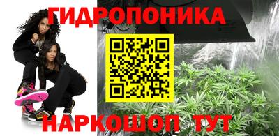 метадон Гатчина