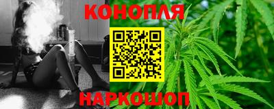 спайс Гагарин