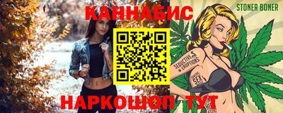 спайс Гагарин