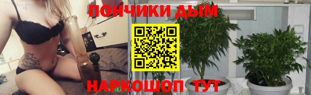 Людиново  Бошки Шишки марихуана  Вход с VPN  Канабис AK-47  Канабис ГИДРОПОН 
